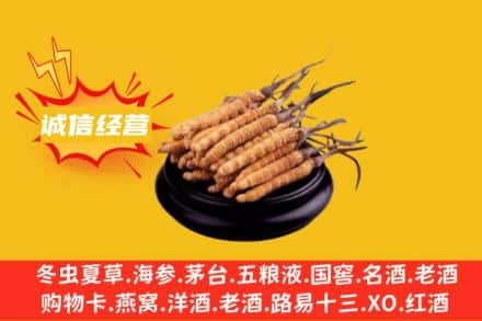 邯郸回收冬虫夏草